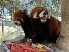 -水上乐园·欢乐世界