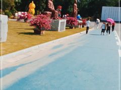 -广西壮族自治区药用植物园