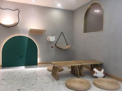 -飞行喵MR PILOT|猫舍·猫咖(静安大融城店)