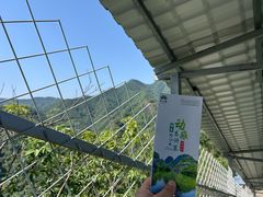 -修水东浒寨风景区