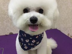 -乐琪宠物(青塔西路店)