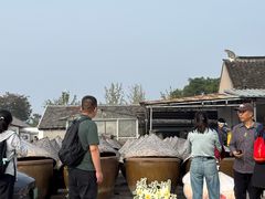 -苏州市吴中区光福窑上花果蜜饯厂