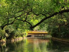 -棕榈岛海鲜自助餐厅(虹桥迎宾馆店)