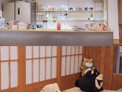 -豆柴町-柴犬主题狗咖(红鼎国际C座店)