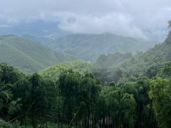 -莫干山风景区