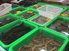 -都斛海鲜街