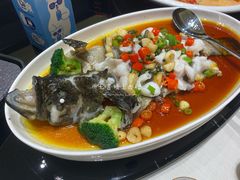 鲜花椒蒸海青斑-富淳饭店(陆家嘴保利广场店)