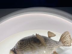 -陕西自然博物馆