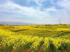 -蜜雪冰城(浙江大学店)