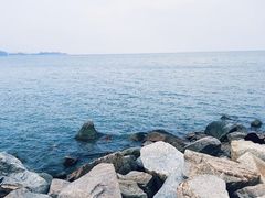 -野狸岛