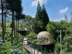 -龙苍沟森林公园