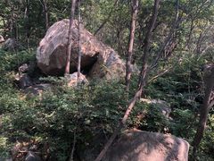 -大岭沟猕猴桃谷风景区