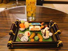 -芽庄喜来登水疗酒店