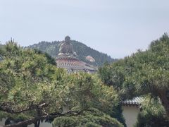 -龙口南山旅游景区