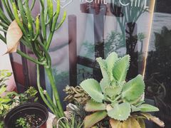 -Home Cafe(水榭春天店)