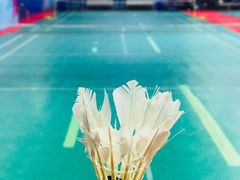 -佰德观岚记羽毛球馆