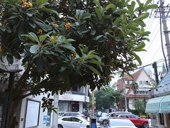 -常熟路(地铁站)