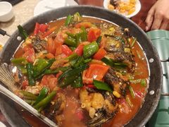 -金龙寨(解西店)