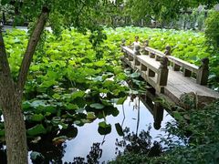 -上海醉白池公园