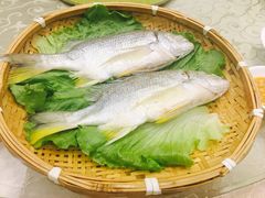 -汕头君华海逸酒店·鸿桃轩中餐厅