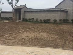 九龙丽思卡尔顿酒店-香港丽思卡尔顿酒店