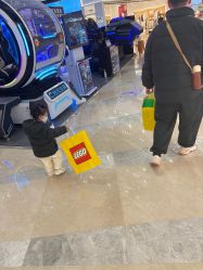 -乐高授权专卖店(新北万达店)