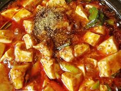 -陈麻婆豆腐总店