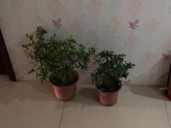 -足来足往养生会所