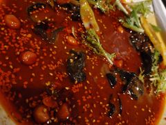 红油鸡片-蜀宴小调·精致家常菜(来福士店)