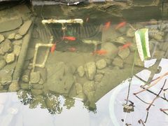 -墨居上隐·院子里火锅(峨眉店)