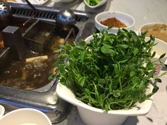 -海底捞火锅(勒泰店)