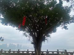 -船政文化景区-罗星塔公园