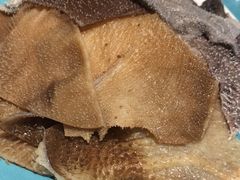 毛肚双拼-青瓷火锅料理(西单大悦城店)