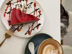-飞行喵MR PILOT|猫舍·猫咖(静安大融城店)