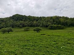 -大水川景区