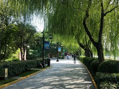 -西安汉城湖景区