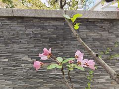 -十二道丰味·徐州土菜·烧烤(何山路店)