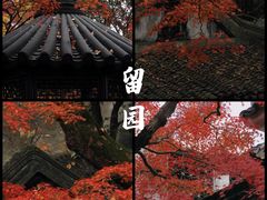 -留园