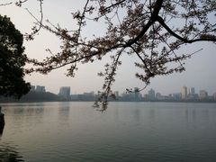 -甘棠公园