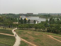 -杭州湾海上花田景区