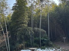 -青龙山国家森林公园
