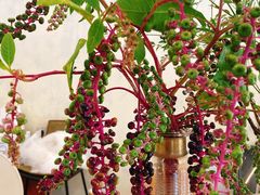 -森野花艺培训·企业团建活动沙龙