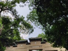 -灵谷景区