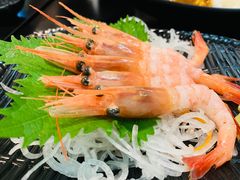 甜虾刺身-井上家(大兴街店)