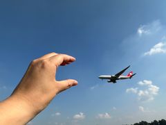 -空港花田景区