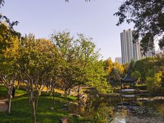 -月湖风景区
