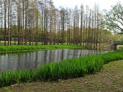 -共青国家森林公园-售票处