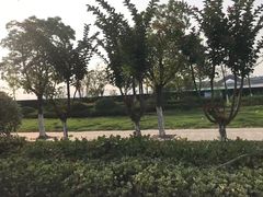 -吾悦广场(南京鼓楼店)