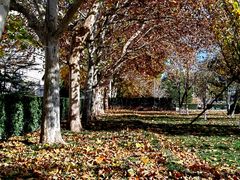 -南礼士路(地铁站)