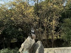 -无锡梅园公园